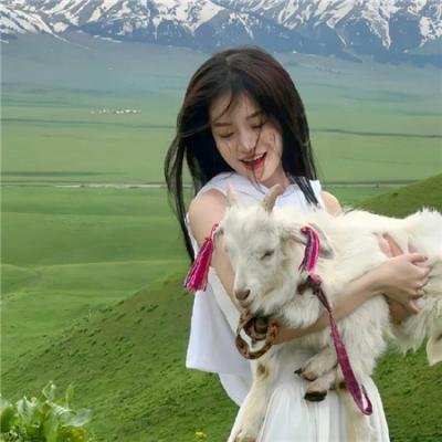 安蒂冈妮：为爱赴罪